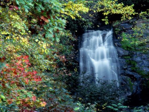 Meigs Falls  Tennessee   