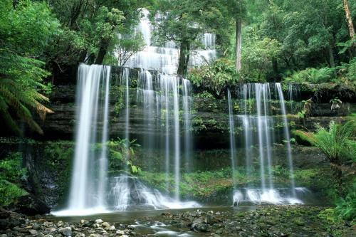 водопад национальном заповеднике Тасмании