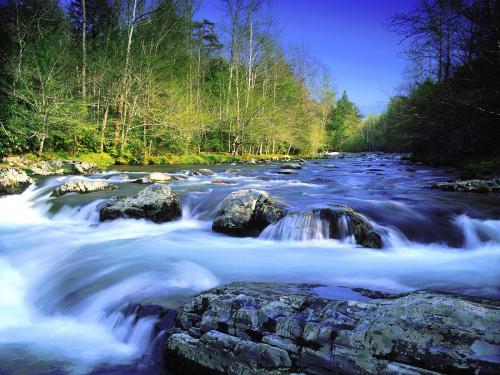 голубой ручей спуск, зеленый лес, фото с выдержкой выдержкой