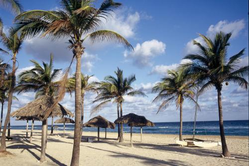 playas de leste куба пляж пальмы