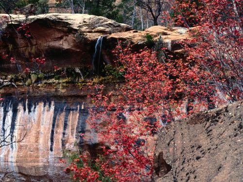 красный лес камни обрыв и водопад