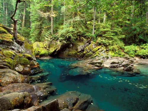каменный склон с прозрачной водой и зеленым лесом