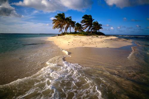 карибские острова песчаный остров с пальмами в зеленом океане