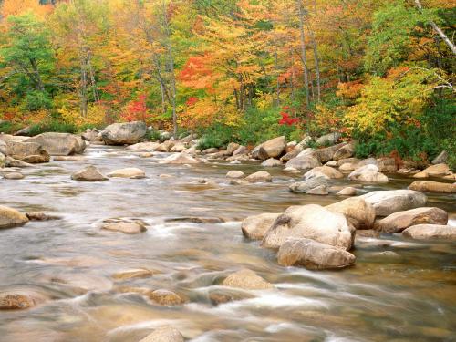красивый осенний зелено-желто-красный лес пороги и река