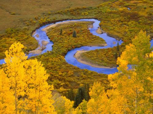 петля или рукав синей реки в желтом лесу
