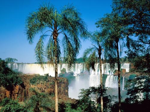 пальмы и водопад в Африке