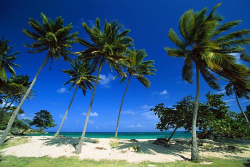Доминиканская республика Левантадо побережье Бакарди