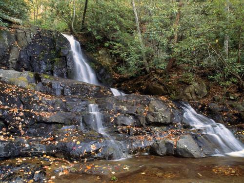   Smoky Mountains  