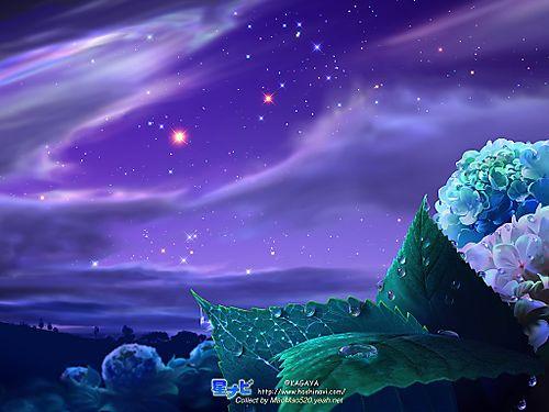 3d ,     nature-art,  