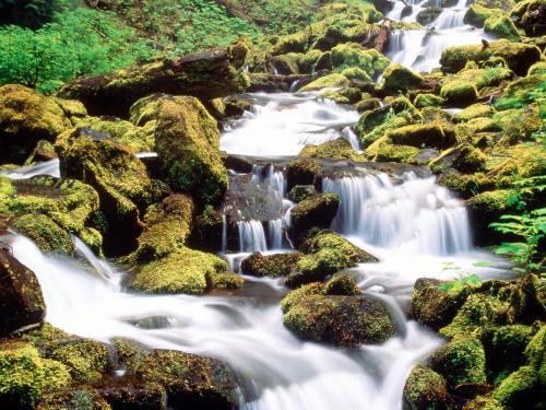Lower Proxy Falls, Three Sisters Wilderness, Willamette National Forest, Oregon