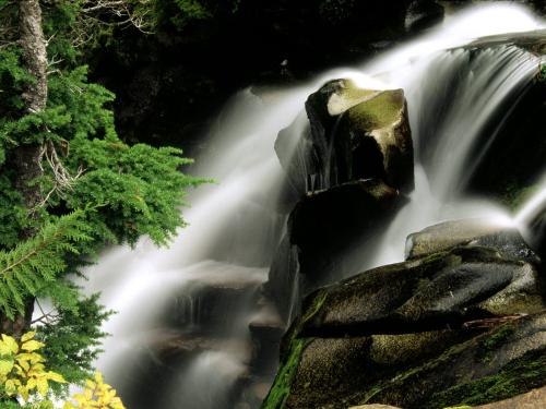 Paradise River Waterfall, Washington